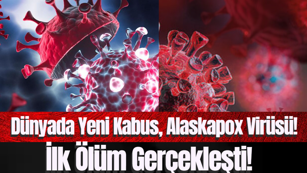 Dünyada Yeni Kabus, Alaskapox Virüsü! İlk Ölüm Gerçekleşti!