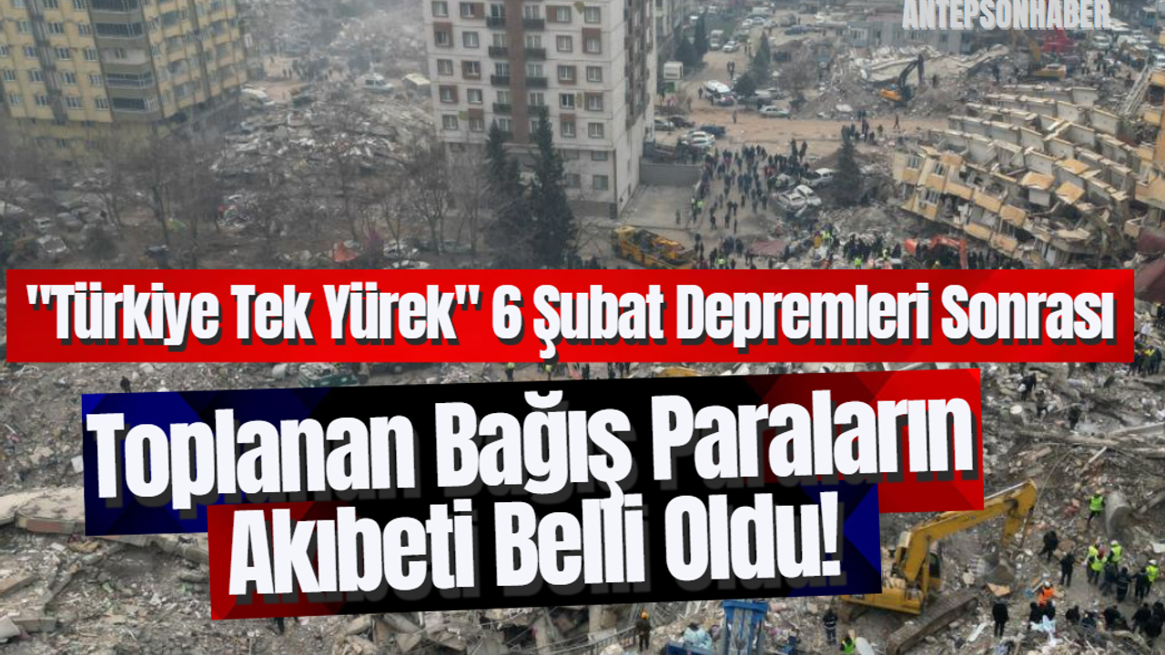 "Türkiye Tek Yürek" 6 Şubat Depremleri Sonrası Toplanan Bağış Paraları Ne Olduğu Açıklandı!