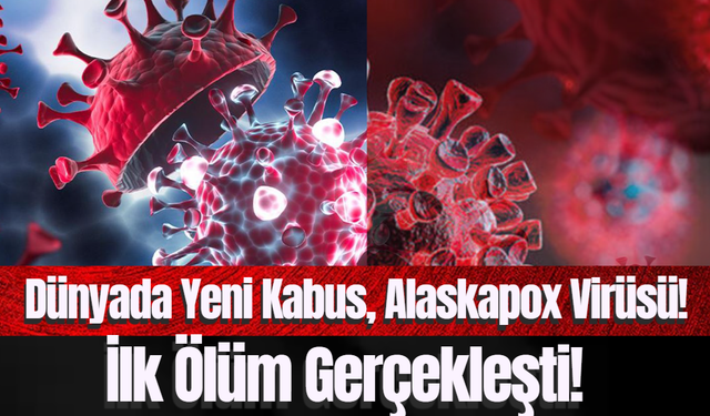 Dünyada Yeni Kabus, Alaskapox Virüsü! İlk Ölüm Gerçekleşti!