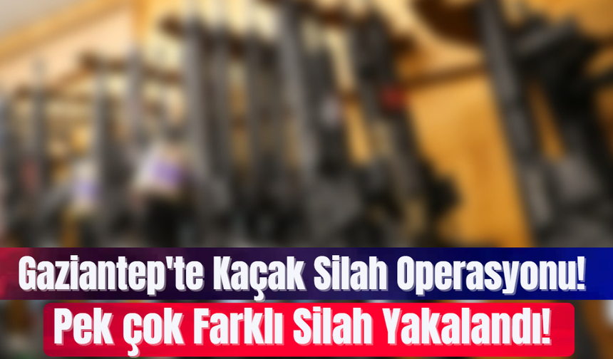 Gaziantep'te Kaçak Silah Operasyonu! Pek çok Farklı Silah Yakalandı!