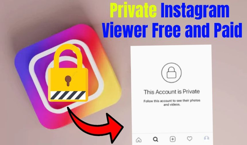 Private Instagram Viewer Free and Paid